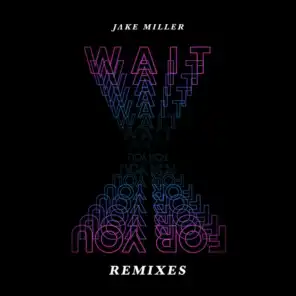 WAIT FOR YOU (THE REMIXES)