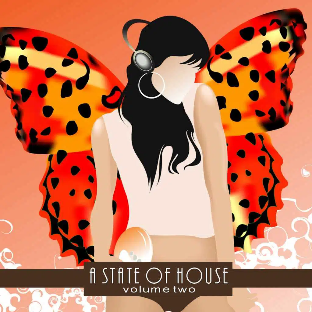 A State Of House, Vol. 2