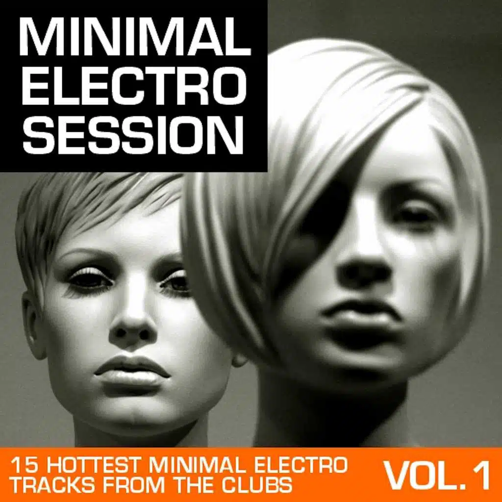 Die Störne (Florian Meindl Remix)