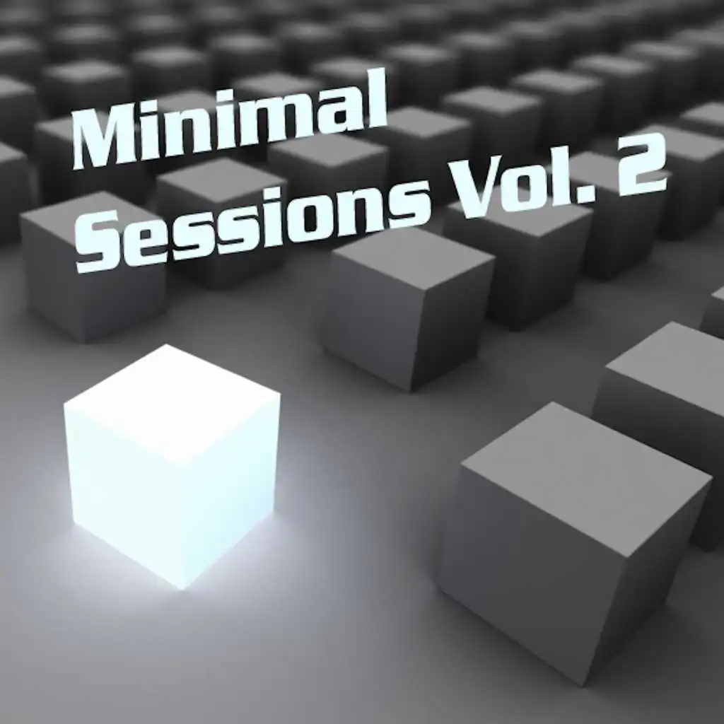 Minimal Sessions, Vol. 2