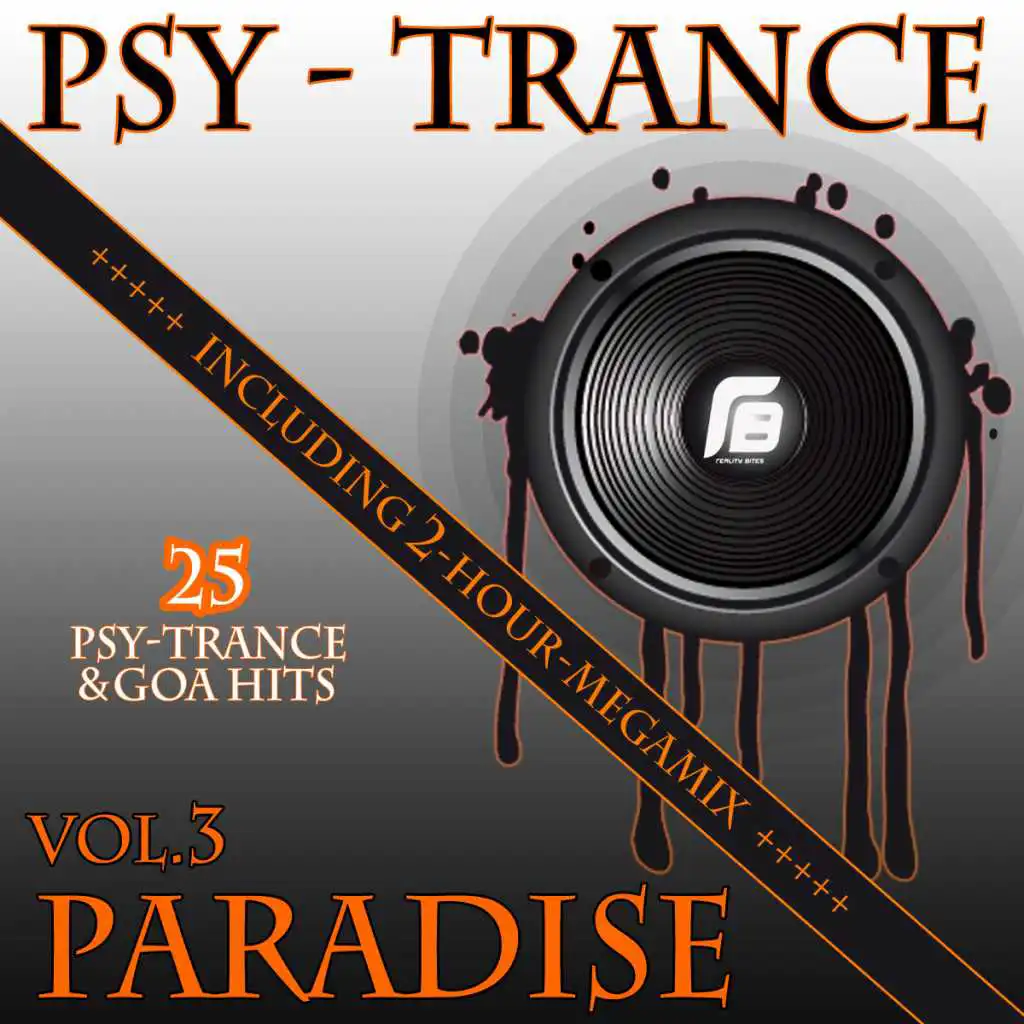 Psy-Trance Paradise Vol.3 - The 2 Hour Megamix (Continuous DJ Mix)