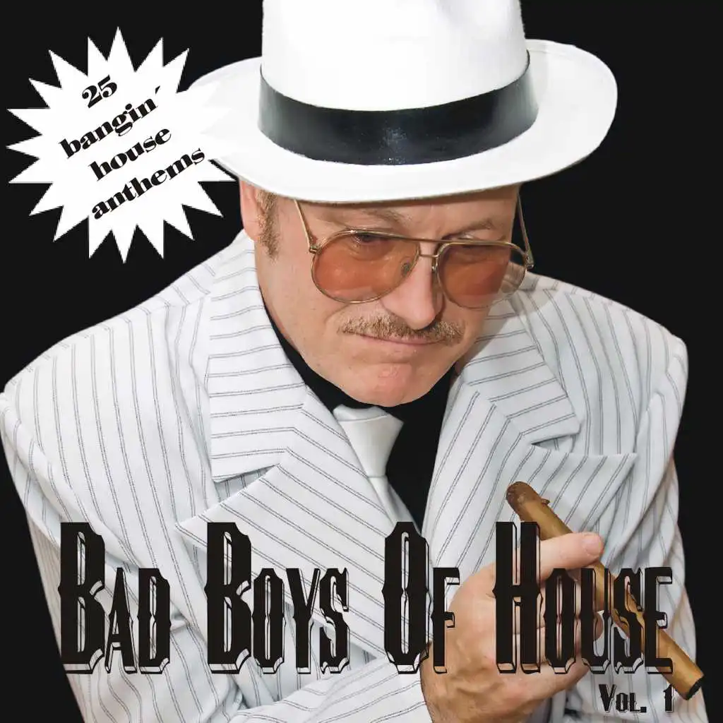 Bad Boys of House, Vol. 1