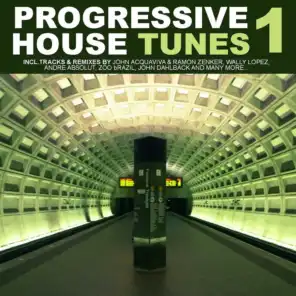 Progressive House Tunes Vol.1
