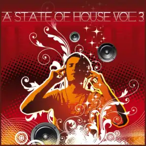 A State of House, Vol. 3