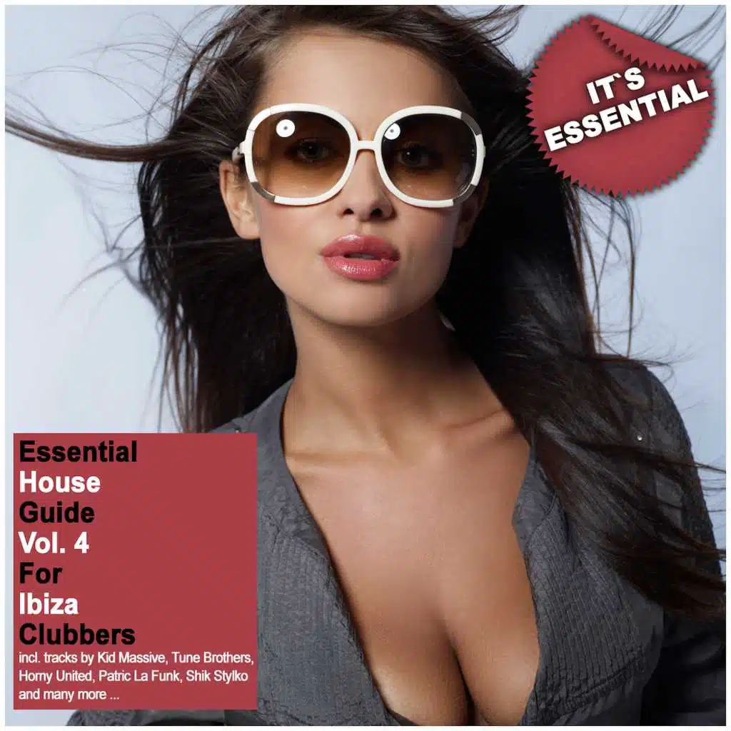 Essential House Guide, Vol. 4 - For Ibiza Clubbers