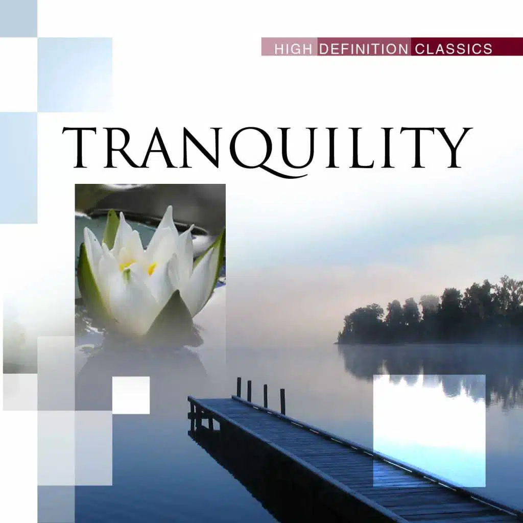 Keyboard Concerto No.5 in F minor, BWV 1056 : II. Largo