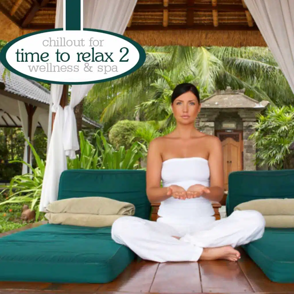Time To Relax Vol.2 - Chillout For Wellness & Spa