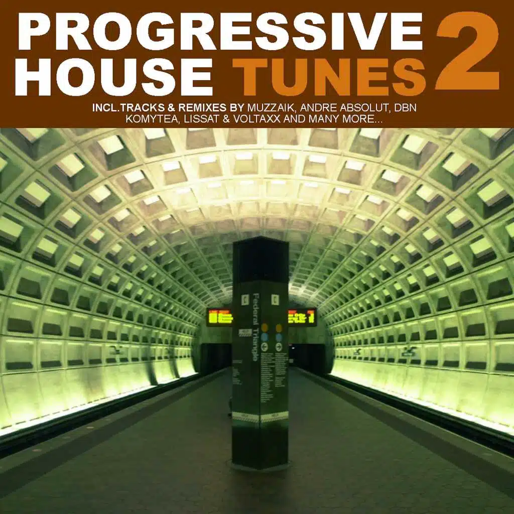 Progressive House Tunes, Vol. 2