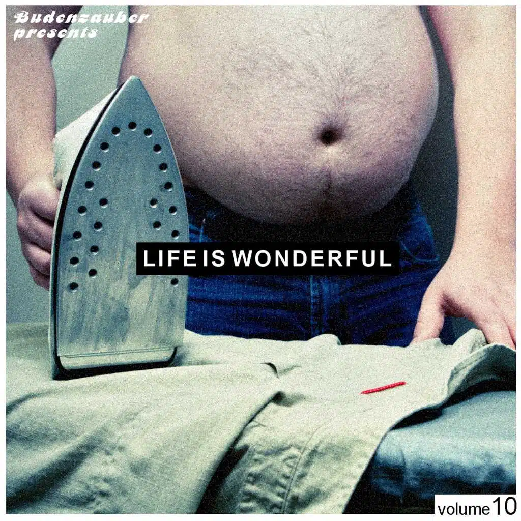 Budenzauber Pres. Life Is Wonderful, Vol. 10