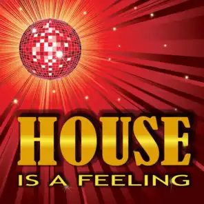 Love What You Feel (House Bros Soulful Dub) [feat. Joy Malcolm]