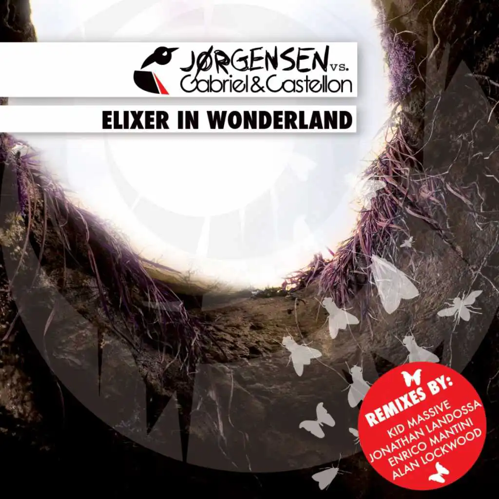 Elixer in Wonderland (Alan Lockwood Remix)