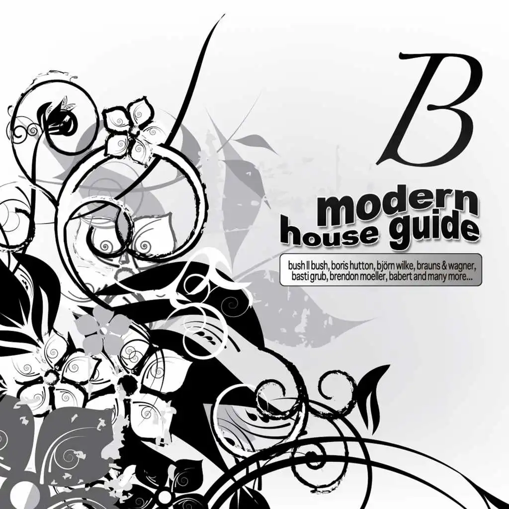 Modern House Guide - B