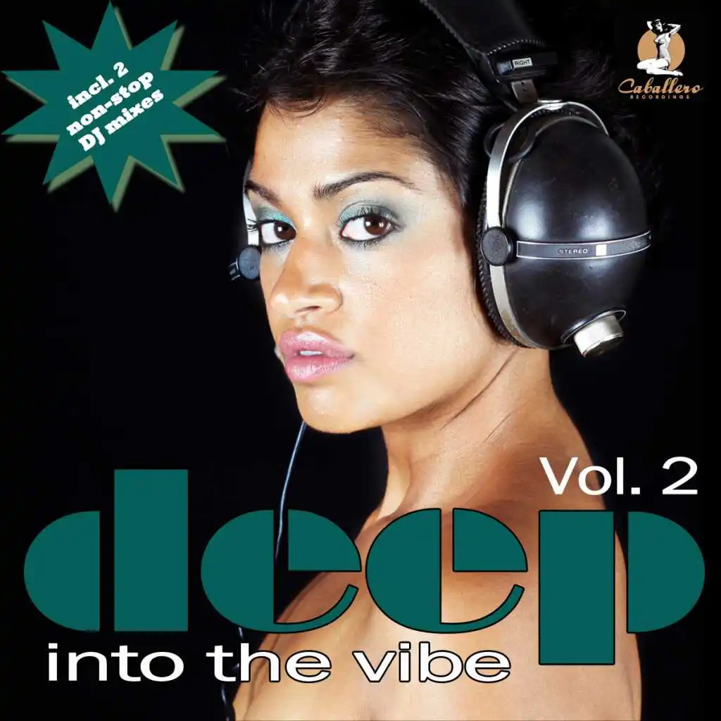 Deep Into the Vibe Vol. 2 - DJ Mix No. 2 (Continuous DJ Mix)