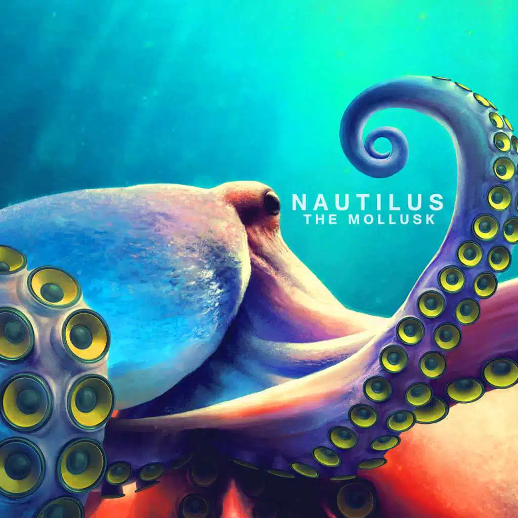 The Mollusk