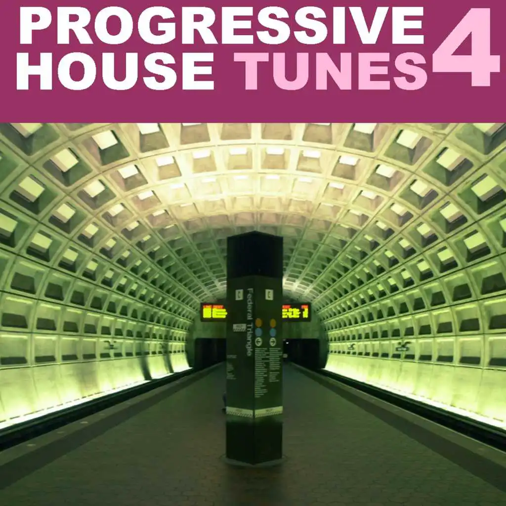 Progressive House Tunes, Vol. 4