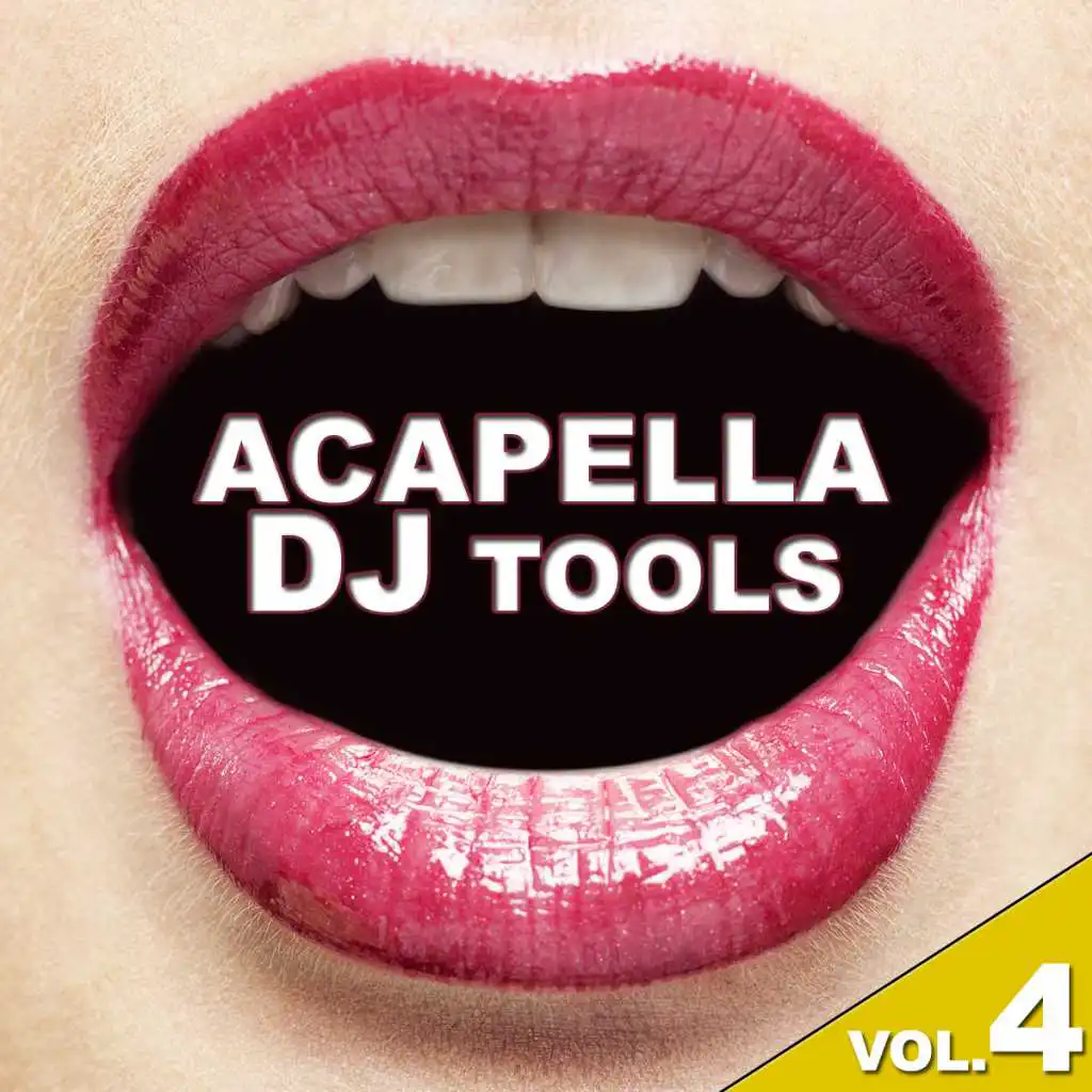 Acapella DJ Tools Vol.4