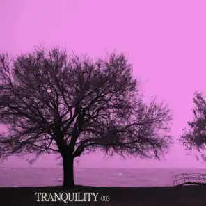 Tranquility 003