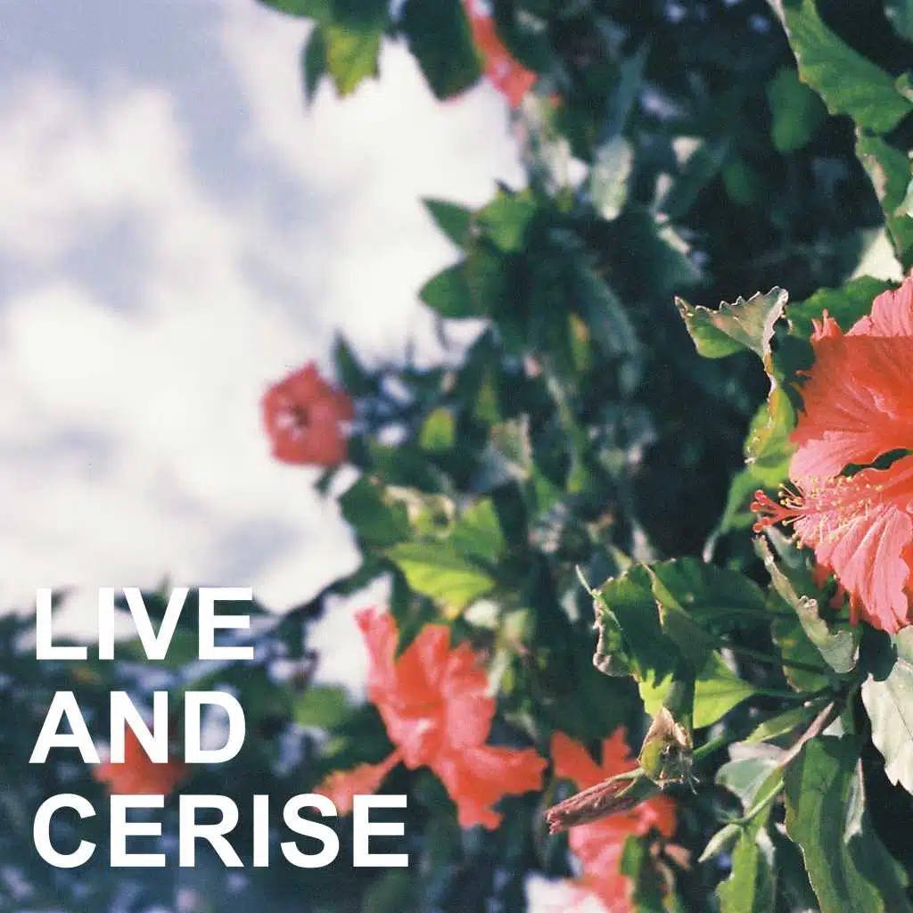 Chick Webb’s Savoy Orchestra