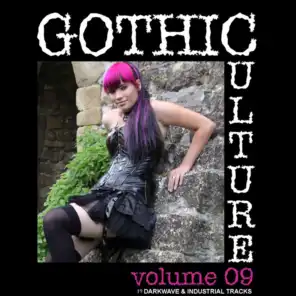 Gothic Culture, Vol. 9 - 20 Darkwave & Industrial Tracks