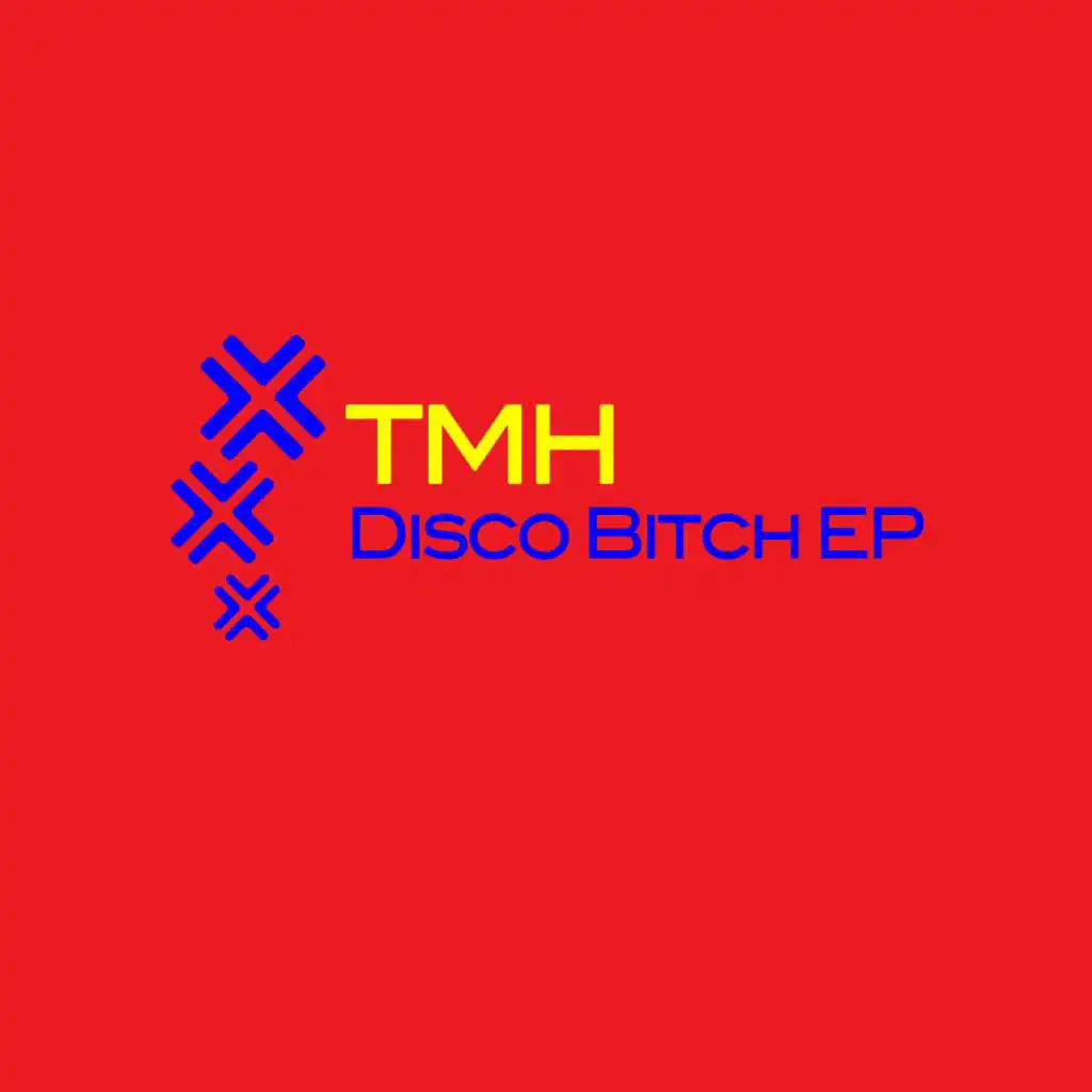 Disco Bitch