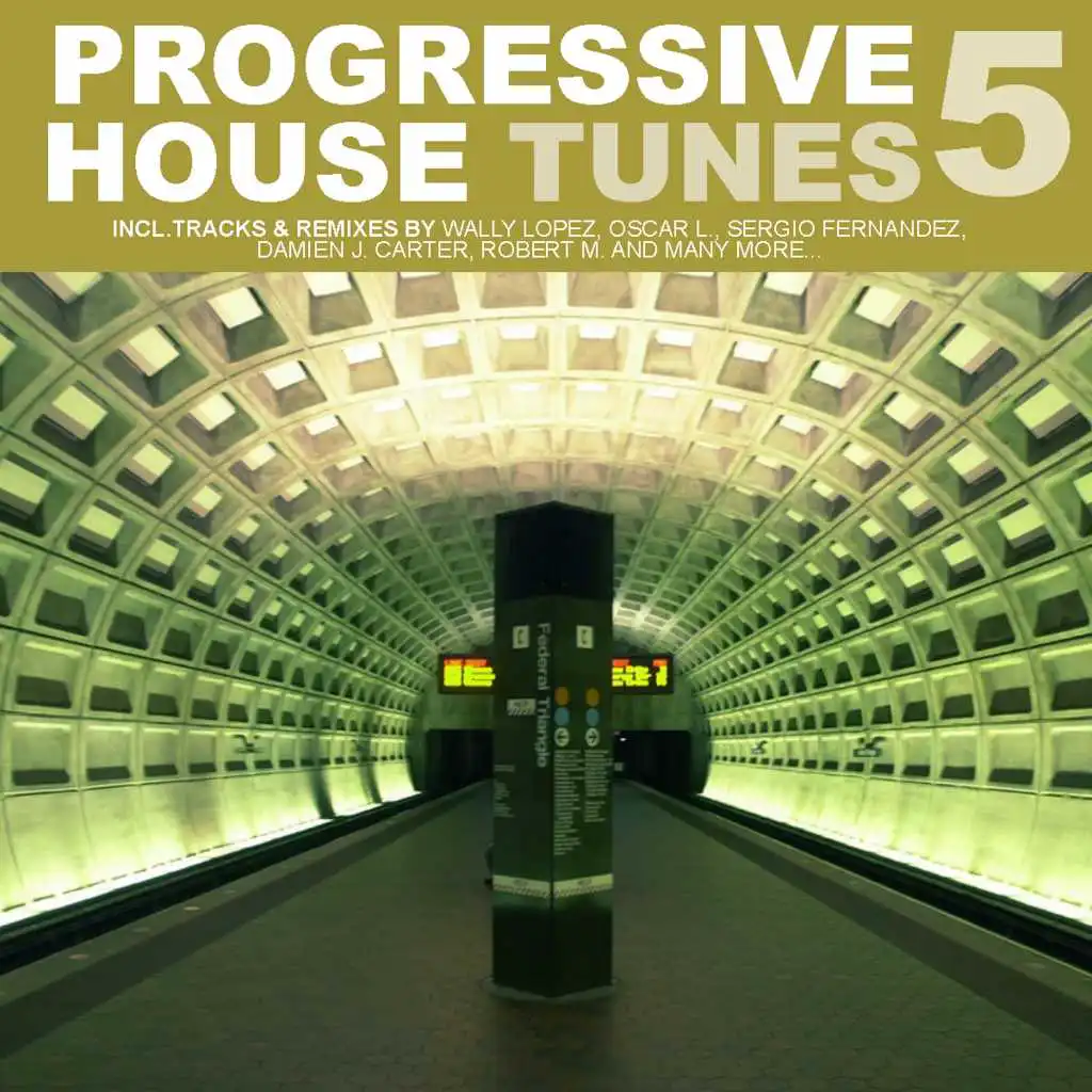 Progressive House Tunes Vol. 5