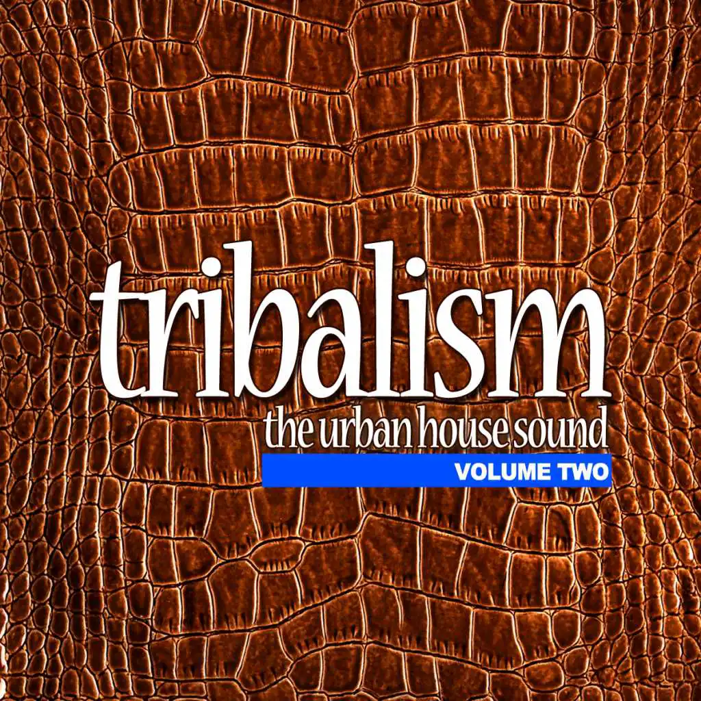 Tribalism Vol.2 - The Urban House Sound
