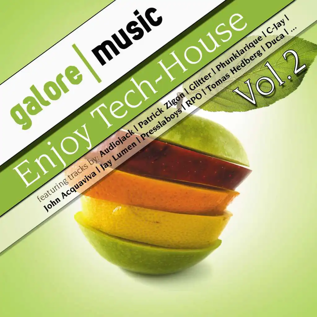 Enjoy Tech-House ! Vol. 2