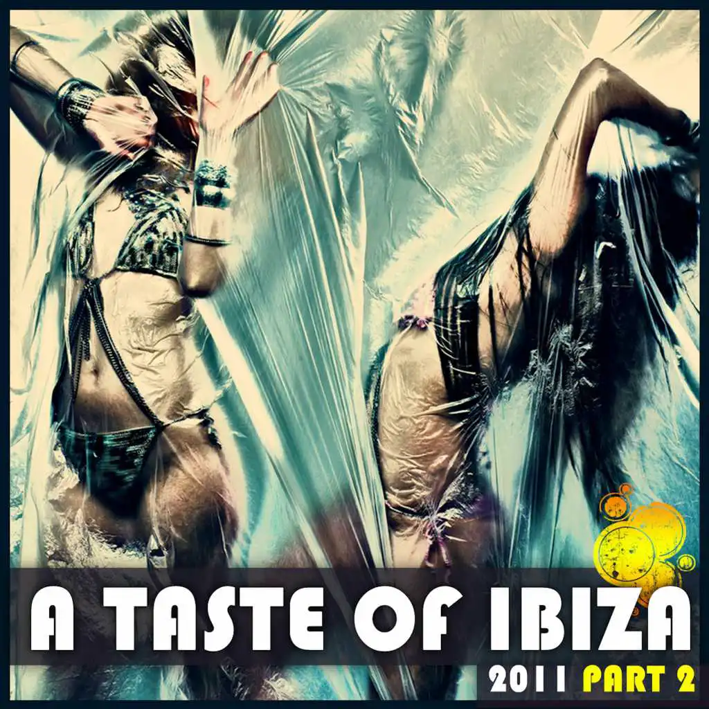 A Taste of Ibiza 2011 - Part 2 (Continuous DJ Mix)