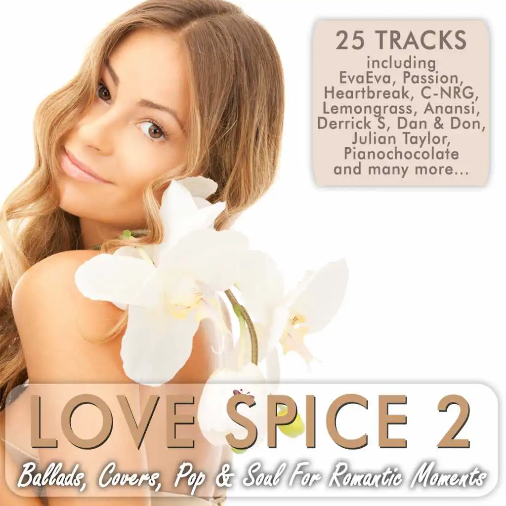 Love Spice Vol. 2 - Ballads, Covers, Pop & Soul For Romantic Moments