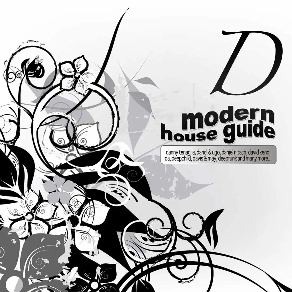 Modern House Guide - D