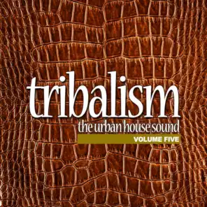 The Vibe of the Iberican Beats (Tribal Mix)