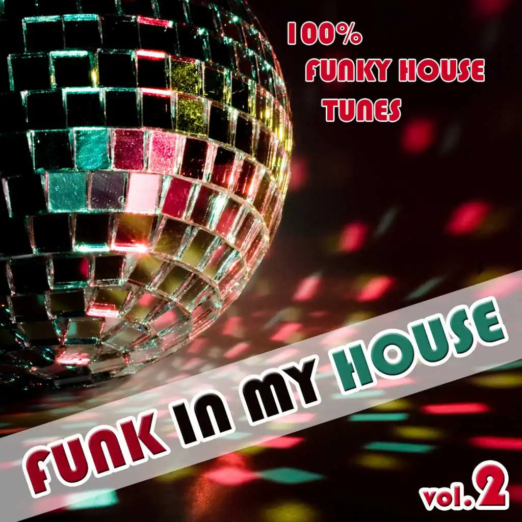 Funk In My House Vol. 2