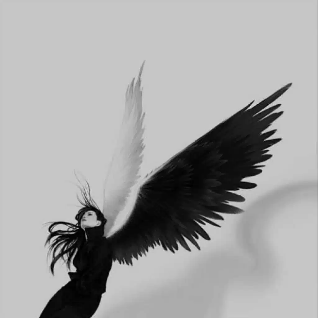 ريست ان بيس