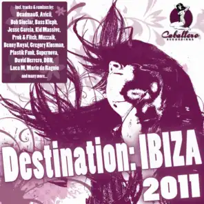Destination: Ibiza 2011