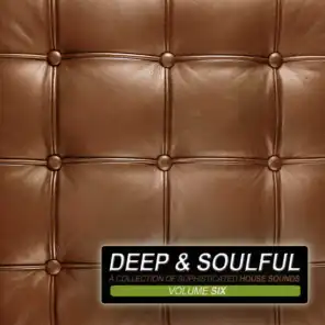 Deep & Soulful Vol. 6 - A Collection Of Sophisticated House Sounds