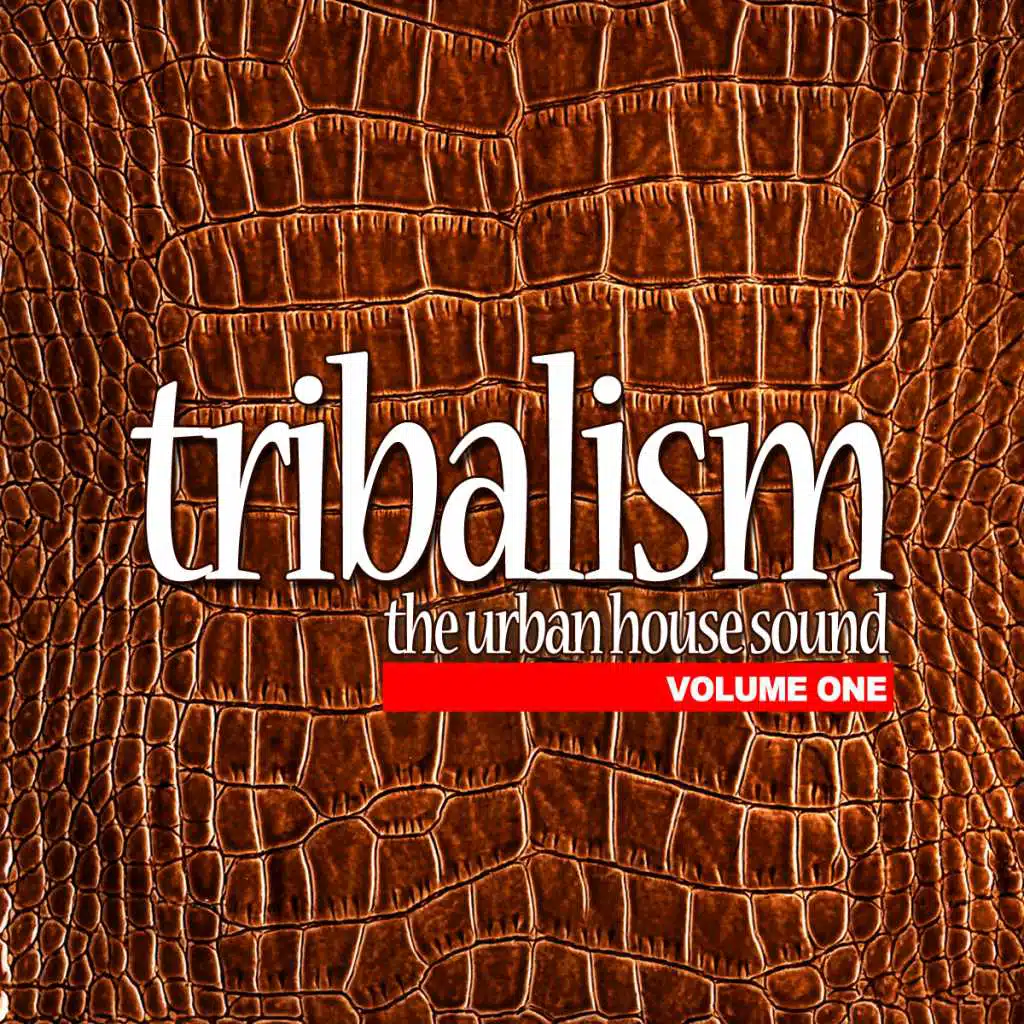 Tribalism Vol.1 - The Urban House Sound