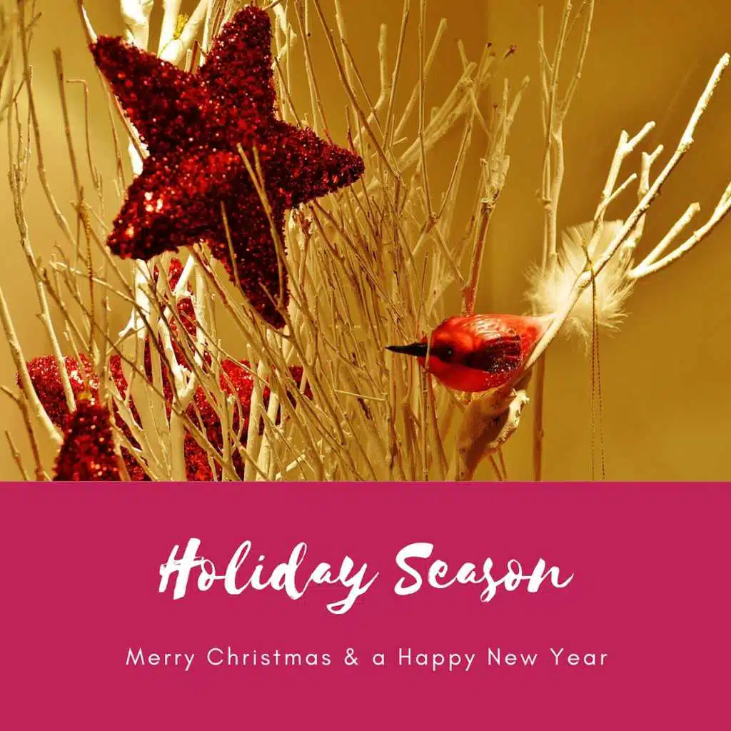 When You Wish Upon A Star (1962)