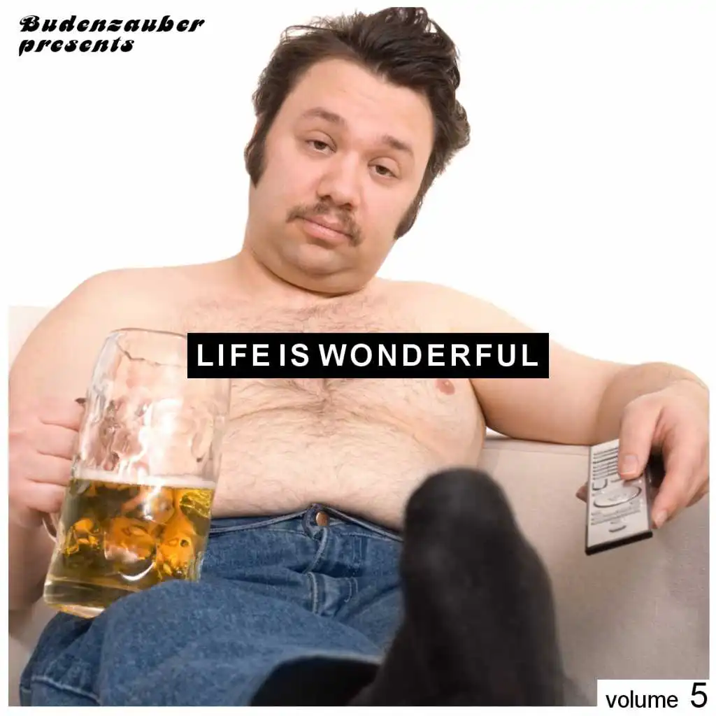 Budenzauber Pres. Life Is Wonderful Vol. 5 - Minimal Tech-House Edition