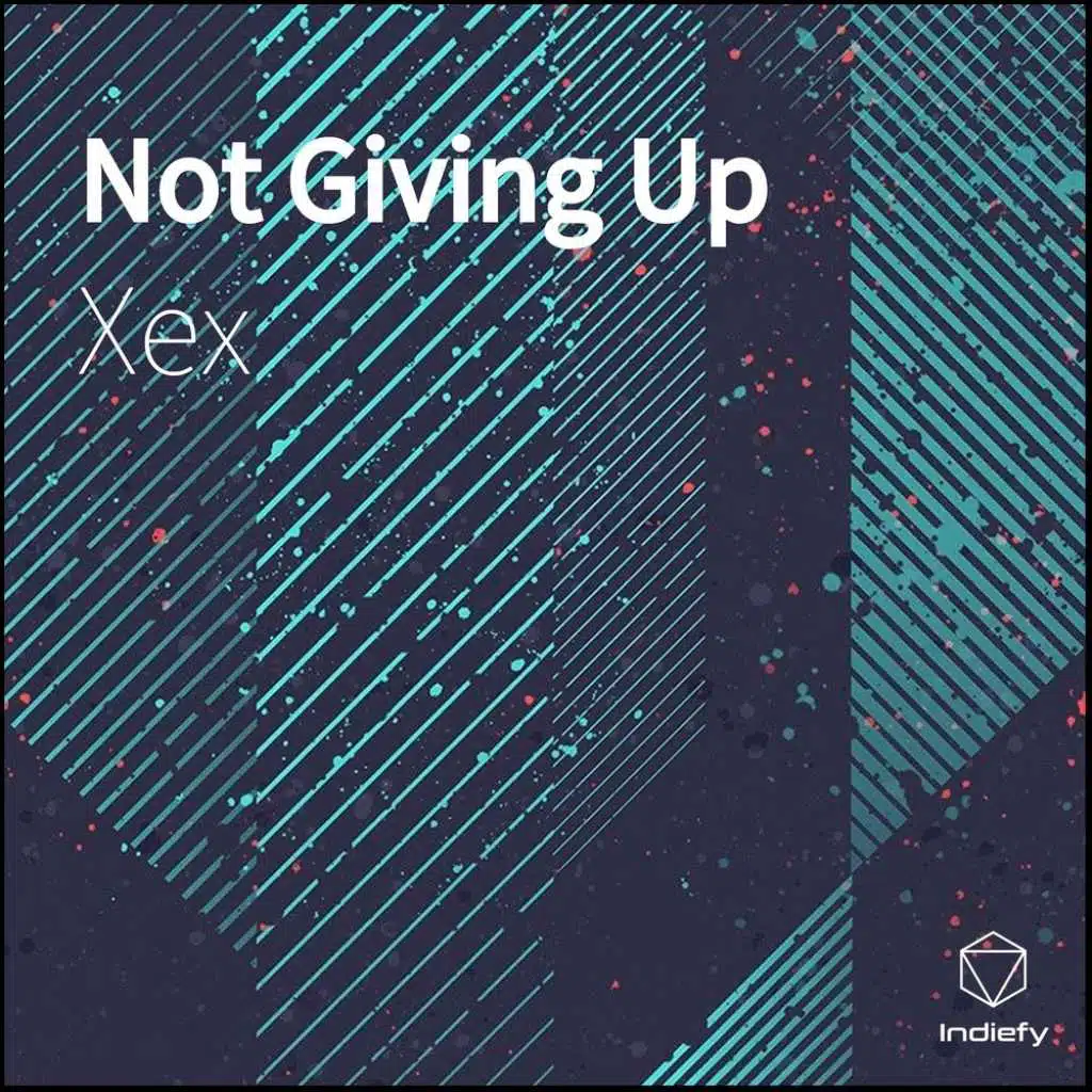 Not Giving Up