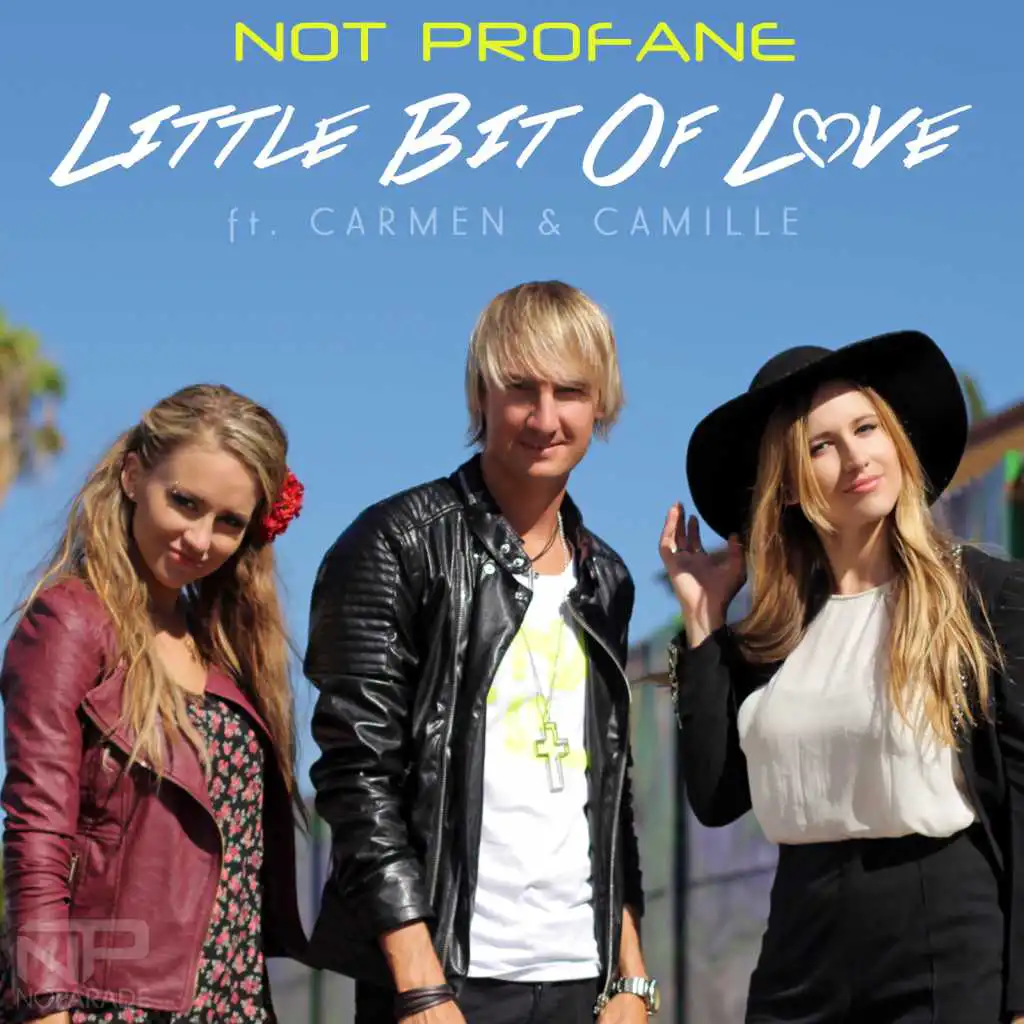 Little Bit Of Love (Not Profane Extended Remix) [feat. Carmen & Camille]