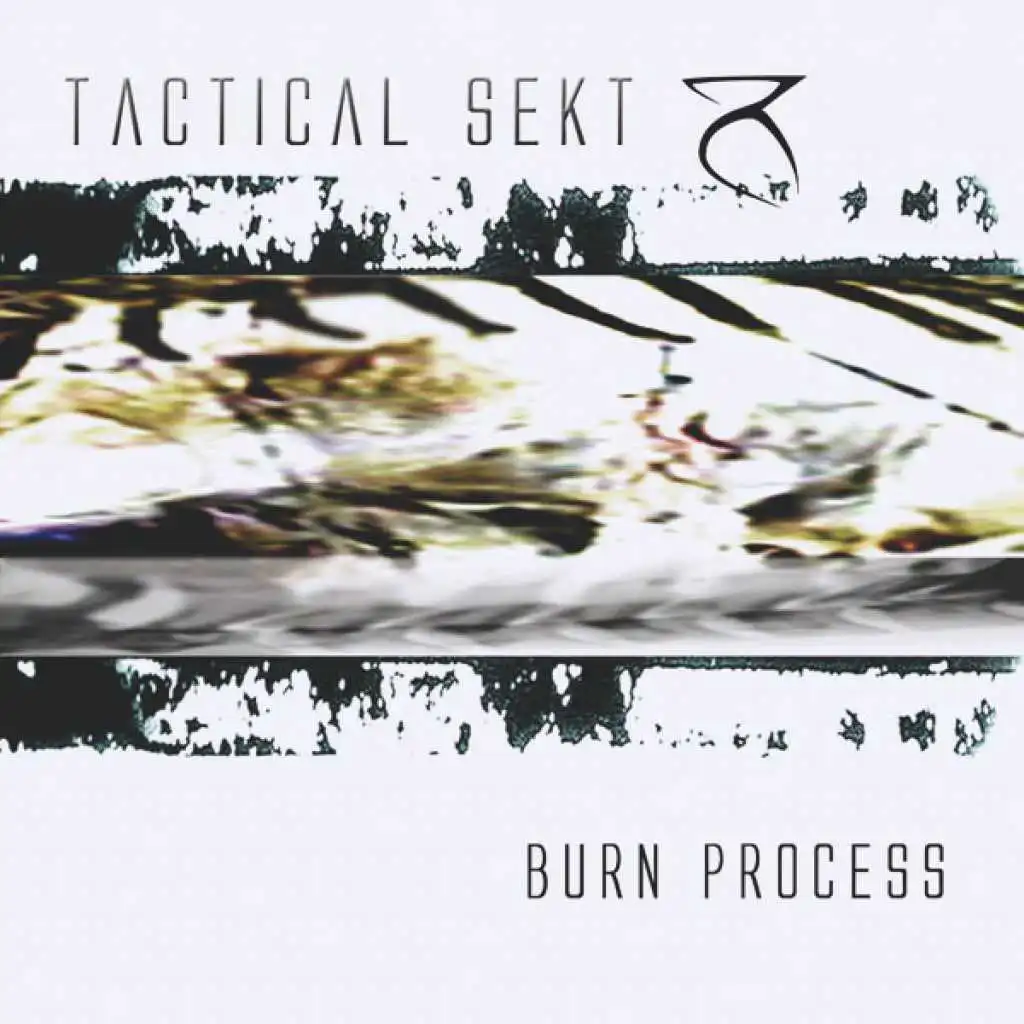 Burn Process (Destruction Remix By Reality)