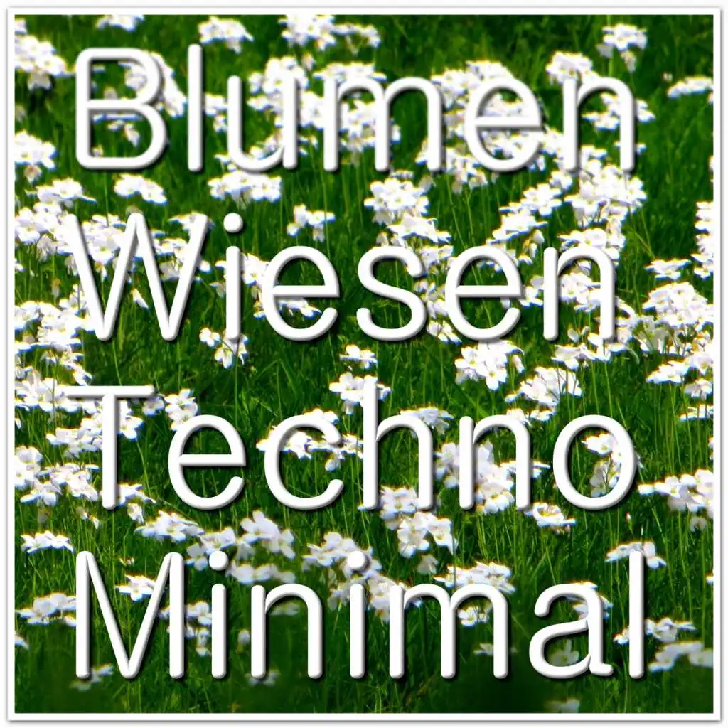 Blumen Wiesen Techno Minimal