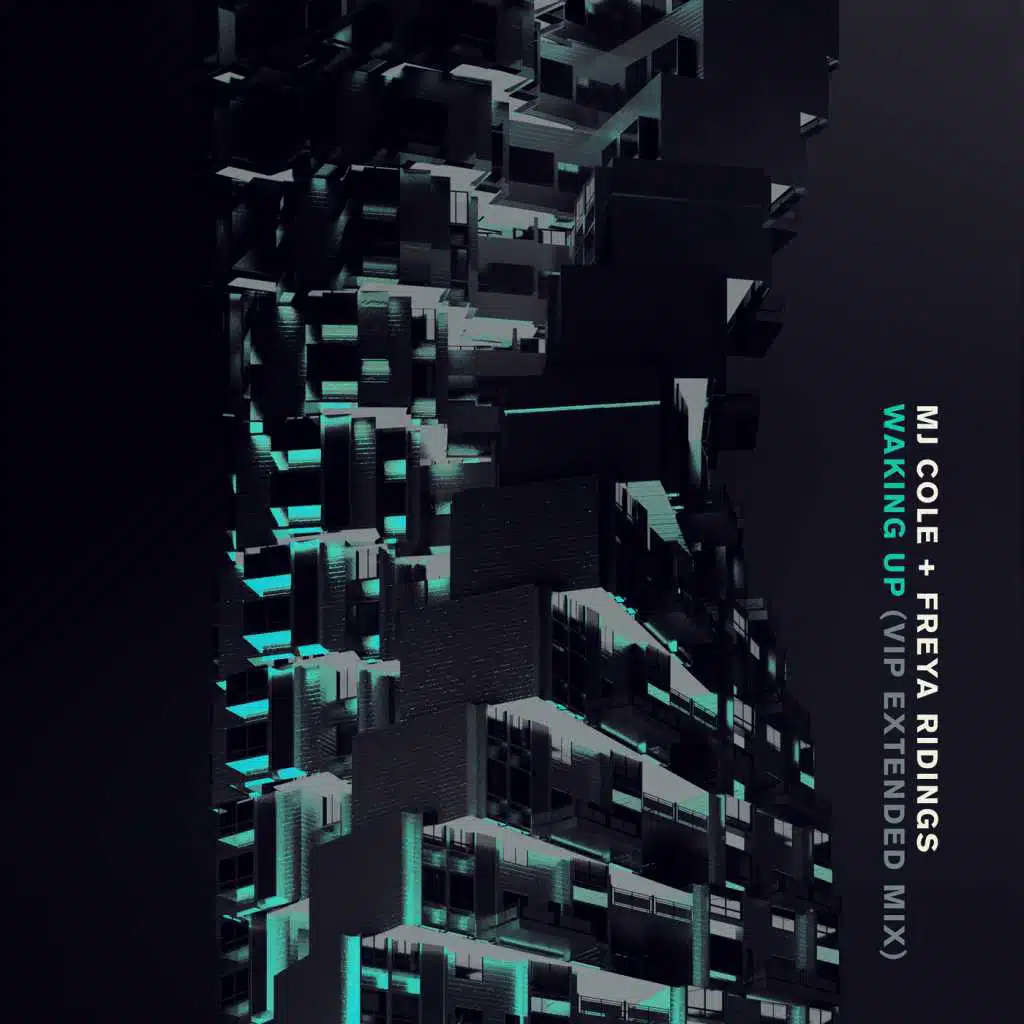 MJ Cole and Freya Ridings