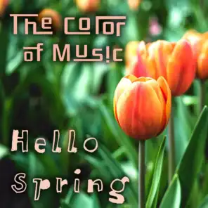 The Color of Music: Hello Spring