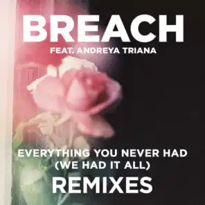 Everything You Never Had (We Had It All) feat. Andreya Triana (Extended Dub Remix)