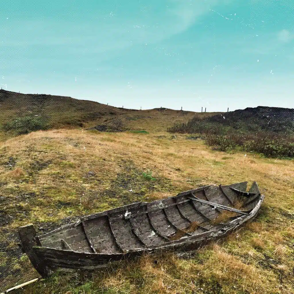 The Man Who Fell from Earth