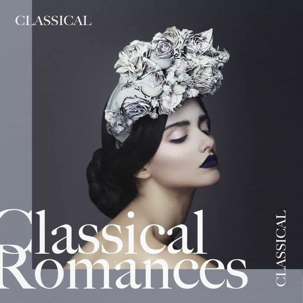 Piano Concerto No. 20 in D Minor, K. 466: II. Romance (Excerpt)