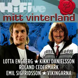 Hi Five: Mitt Vinterland