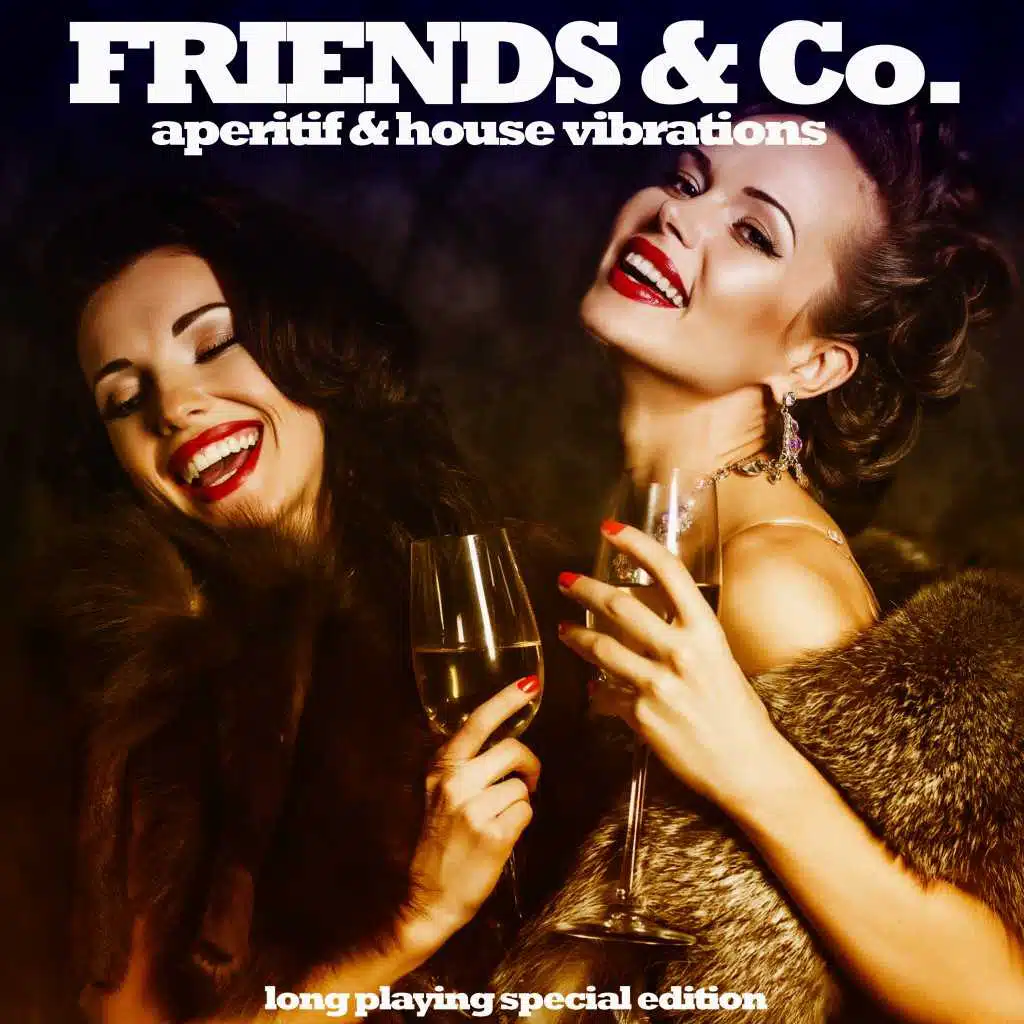 Friends & Co. (Aperitif & House Vibrations)