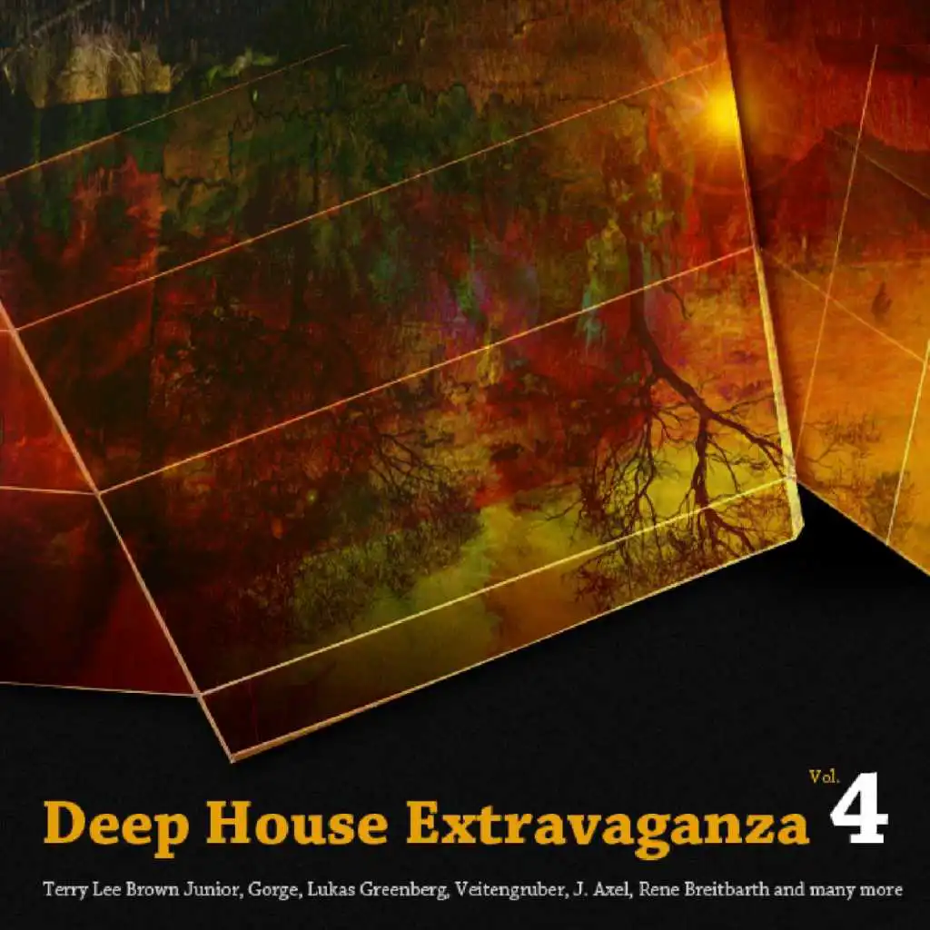 Deep House Extravaganza Vol. 4